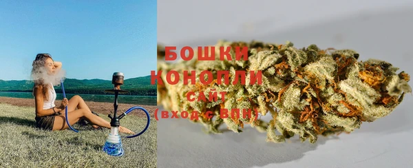 крисы Беломорск